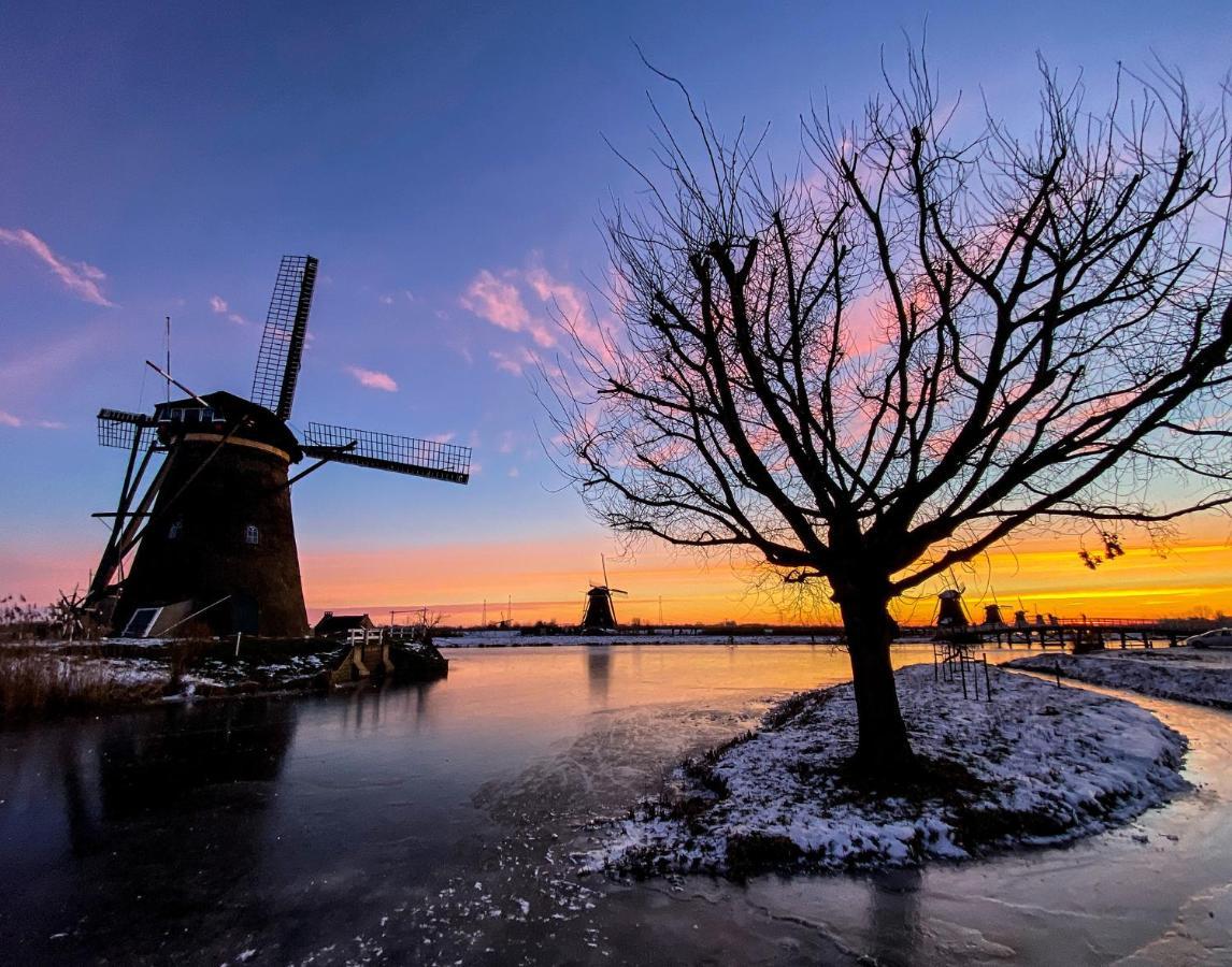 Guesthouse Rotterdam, Tinyhouse Nearby Kralingen Екстер'єр фото